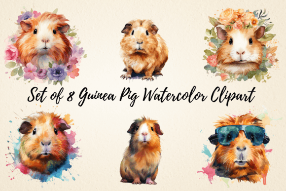 Guinea Pig Watercolor Clipart & Illustrations
