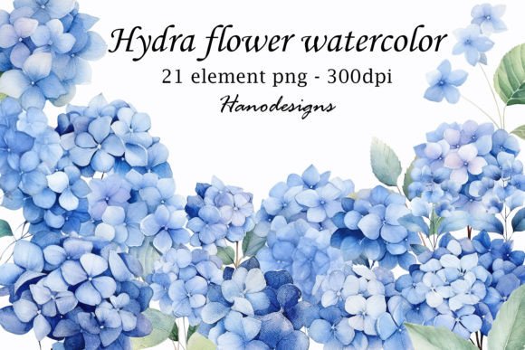 Hydra Flower Watercolor: A Fresh Illustration for Bloggers and Digital Publishers