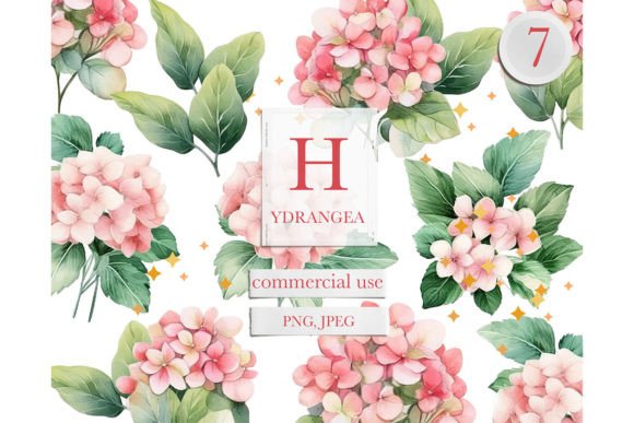Watercolor Botany: Pink Hydrangea Illustrations for Soft, Elegant Branding