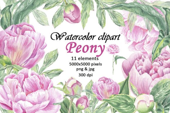 Watercolor Clipart Pink Peony Flowers Illustrations for Real Crafting Magic