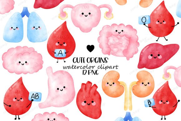 Watercolor Human Organs Clipart: A Designer’s Honest Review for Real Client Work