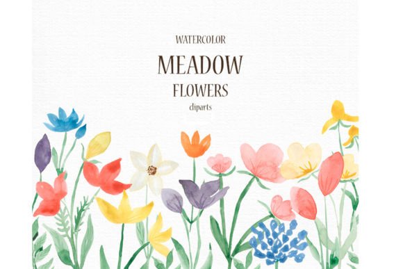 Watercolor Meadow Flowers Clipart Set Review