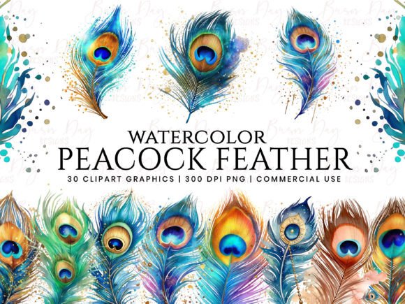 Watercolor Peacock Feather Clipart