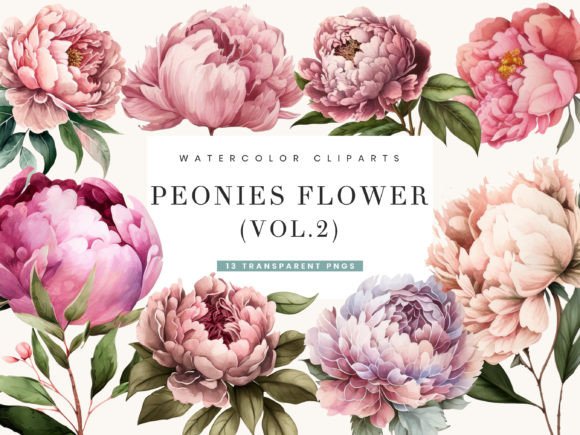 Watercolor Peonies Clipart Vol.2: Illustrations Review